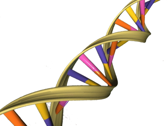 DNA_Double_Helix (1).png